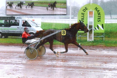 VICTOIRE D'URRICANE BEST EN 2013